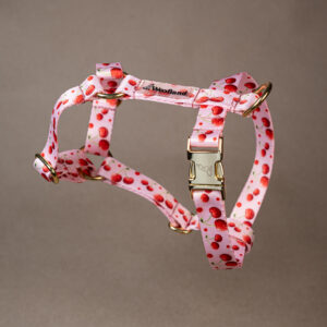 Szelki guard „Cherry” ze złotymi okuciami