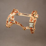 Photo by: Daniel Krzewinski (www.zkumeku.pl)