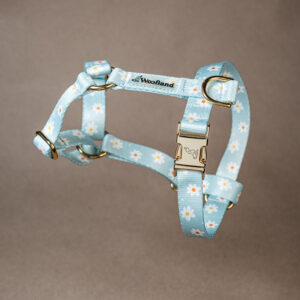 Szelki guard „Daisy” ze złotymi okuciami