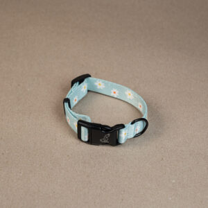 Obroża „Daisy” z czarnymi okuciami