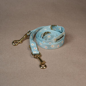 Smycz przepinana „Daisy” ze złotymi okuciami