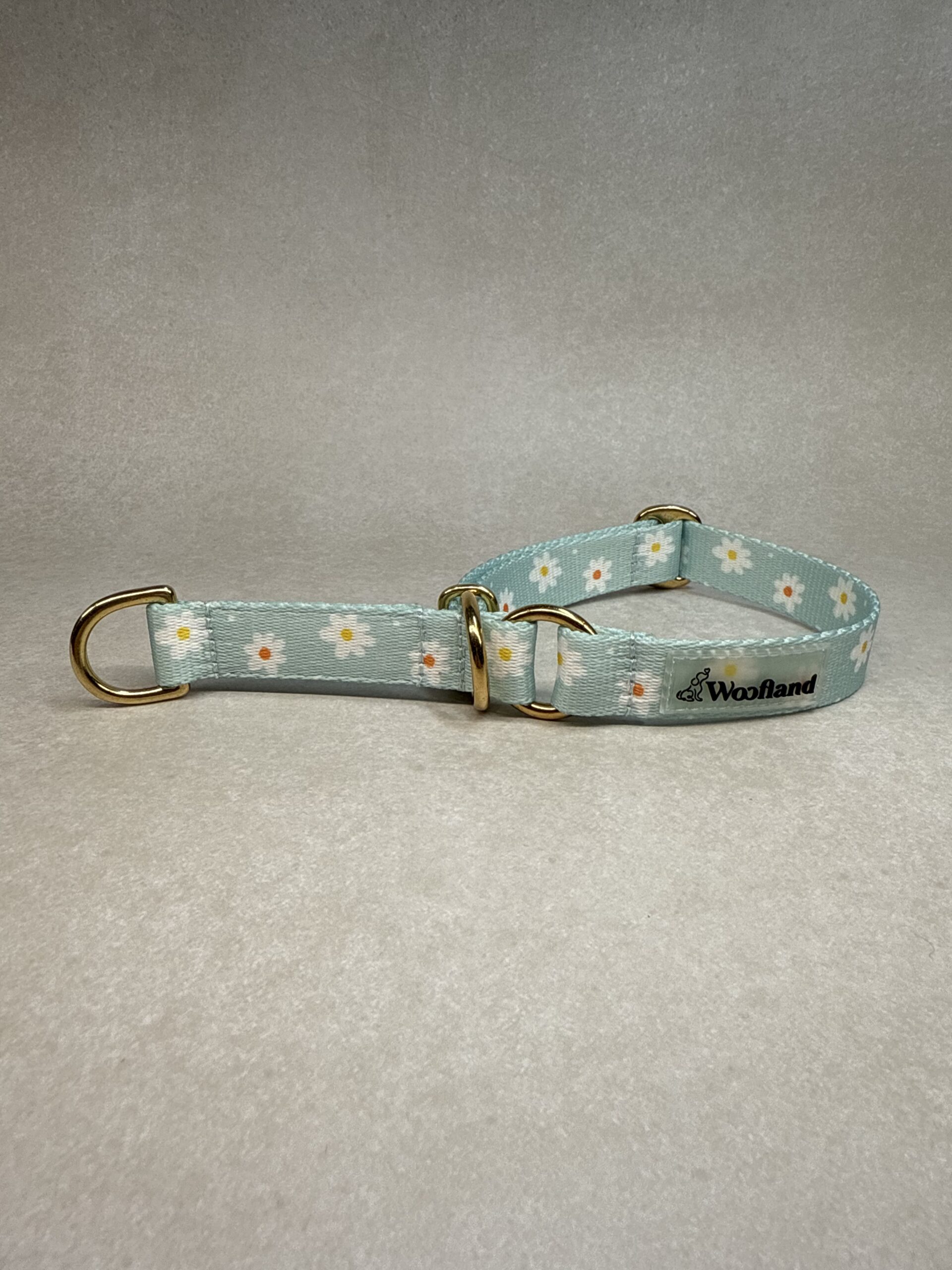 obroza_polzaciskowa_daisy_zlote_okucia