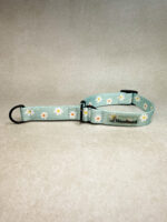 obroza_polzaciskowa_daisy_czarne_okucia