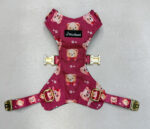 szelki-bezuciskowe-teddybow