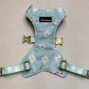 Szelki bezuciskowe „Daisy” ze złotymi okuciami